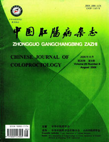 中国肛肠病杂志