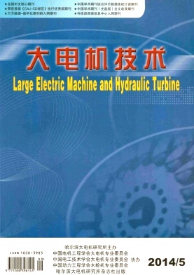 大电机技术