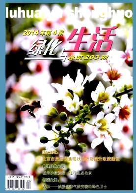 �̻�������