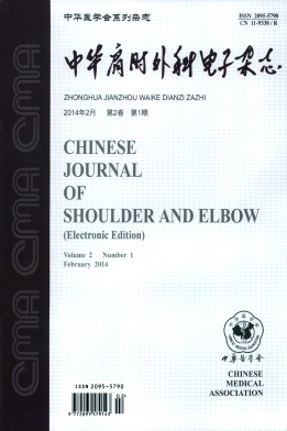 中华肩肘外科电子杂志