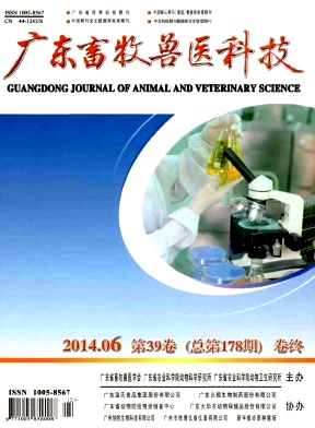 广东畜牧兽医科技