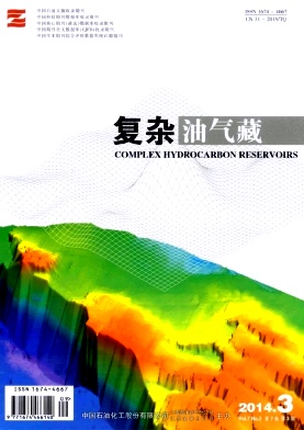 复杂油气藏