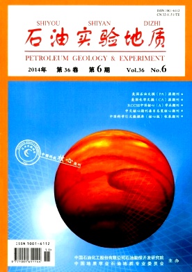 ʯ��ʵ�����