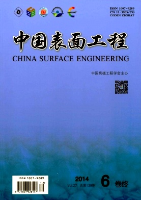 中国表面工程