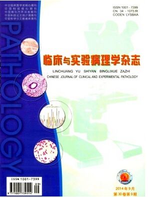 临床与实验病理学
