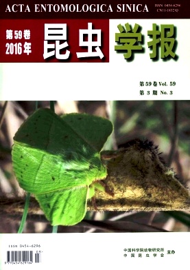 ����ѧ��