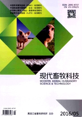 �ִ������Ƽ�