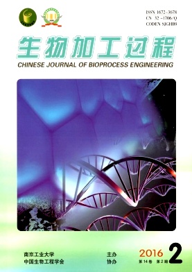 ����ӹ�����