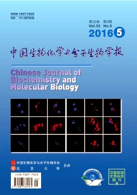 中国生物化学与分子生物学报