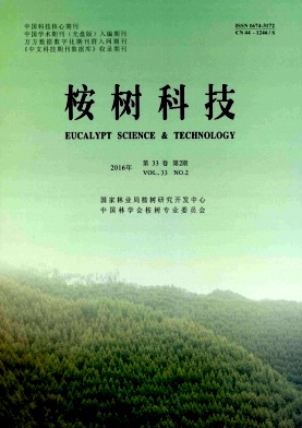 �����Ƽ�