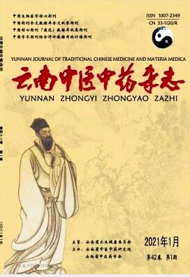 云南中医中药