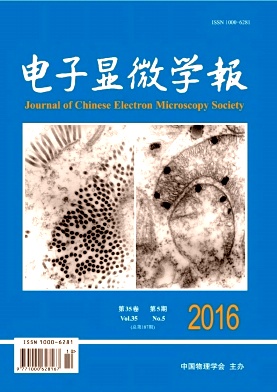 电子显微学报
