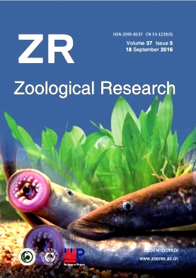 ����ѧ�о�