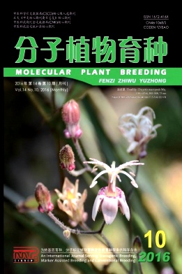 ����ֲ������