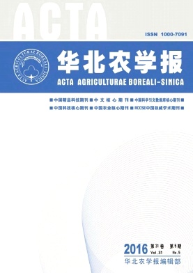 ����ũѧ��