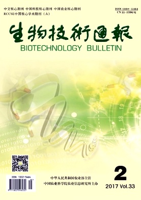 ���＼��ͨ��