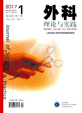 外科理论与实践