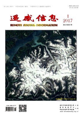 遥感信息