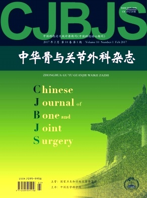 中华骨与关节外科