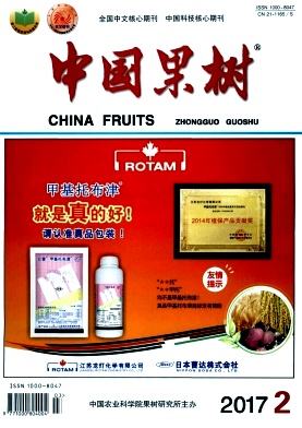 �й�����