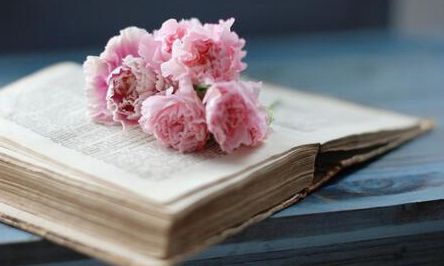 cscd����������ڿ���