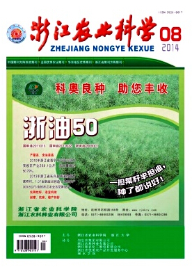 �ڿ��ľ����ں���ʲô