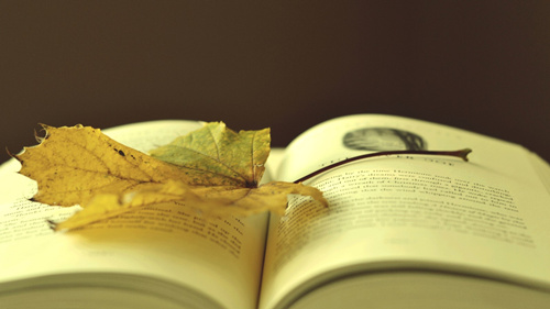 ��ʿ����д����ʽ