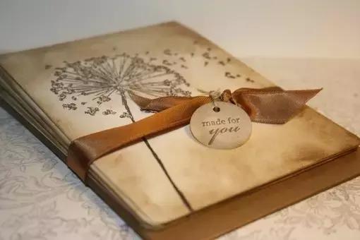 ����רҵ��ҵ�����ĸ�ʽ