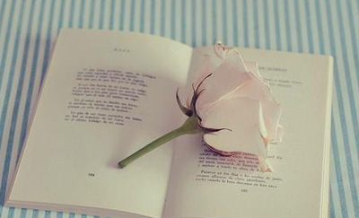 ҽѧ����ҵ���ĵ�д��