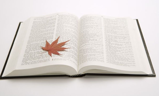 ����ѧ��ժͶ��Ҫ��