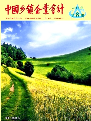 中国乡镇企业会计