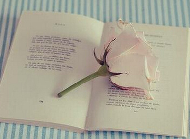 sci���ĵ�Ͷ������