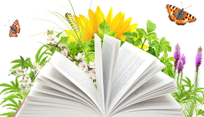 ��ο��ٵķ�������