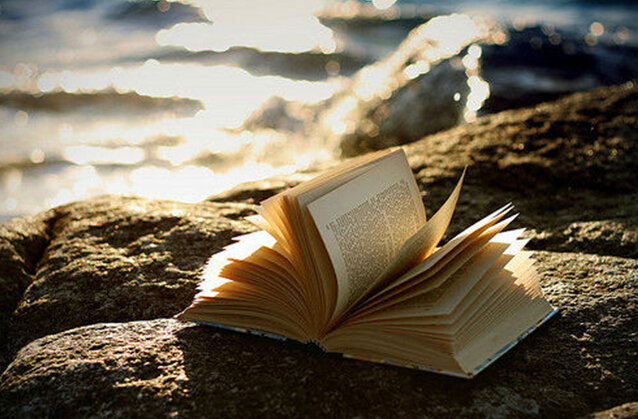 SCI����д����������