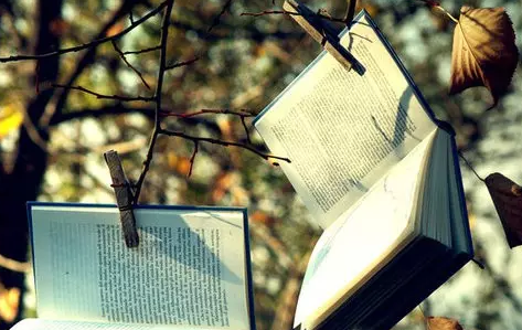 ����Ӣ������д������Ҫ��