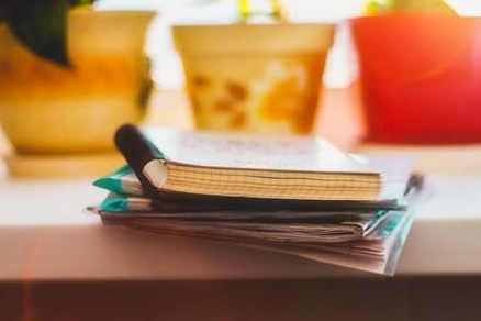 ��ҵ���Ŀ��ⱨ���д��