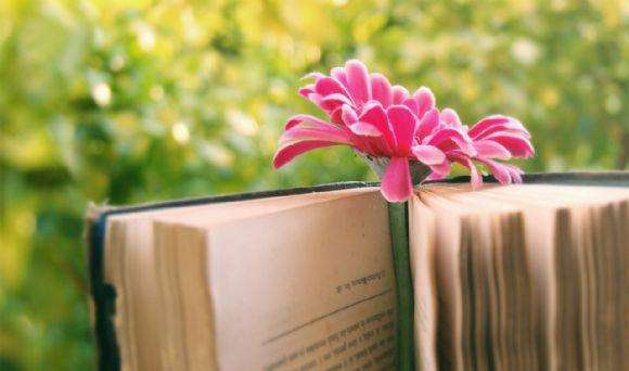 Ӧ���ҵ����д������Ҫ��