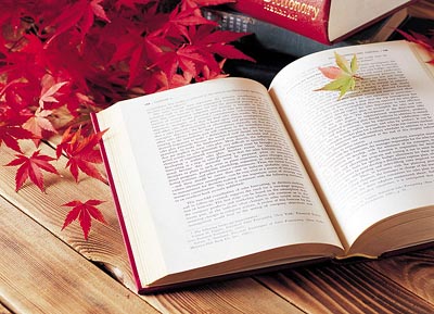 �о������ĵĻ���Ҫ������д��ʽ