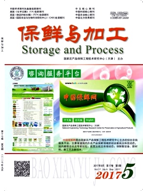 ������ӹ�